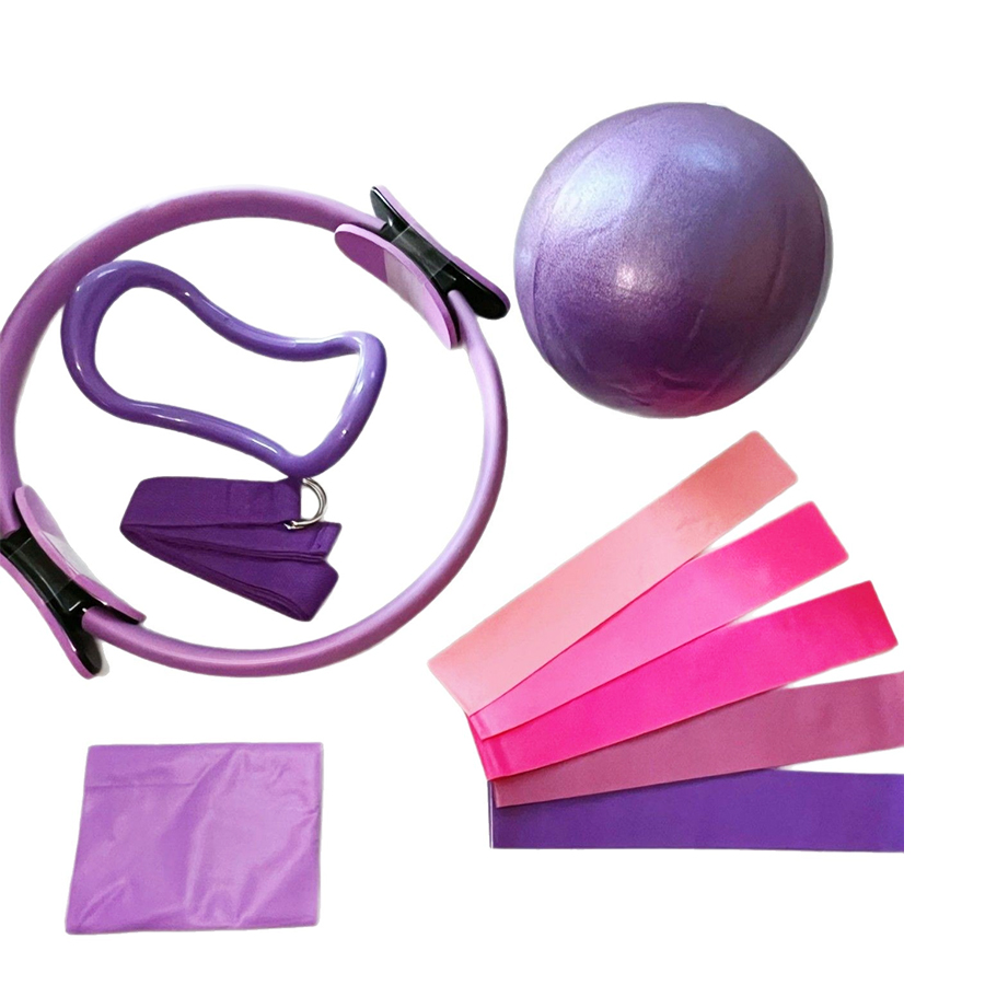 Customized LOGO 5-Piece Home G - Pilates Yoga Ball Exercises recension och pris