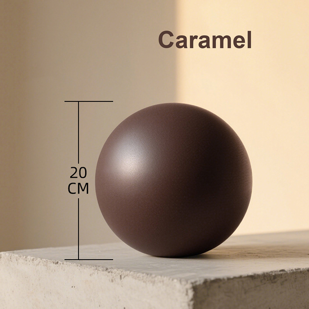 20cm Matte Exercise Ball Barre - Pilates Yoga Ball Exercises recension och pris