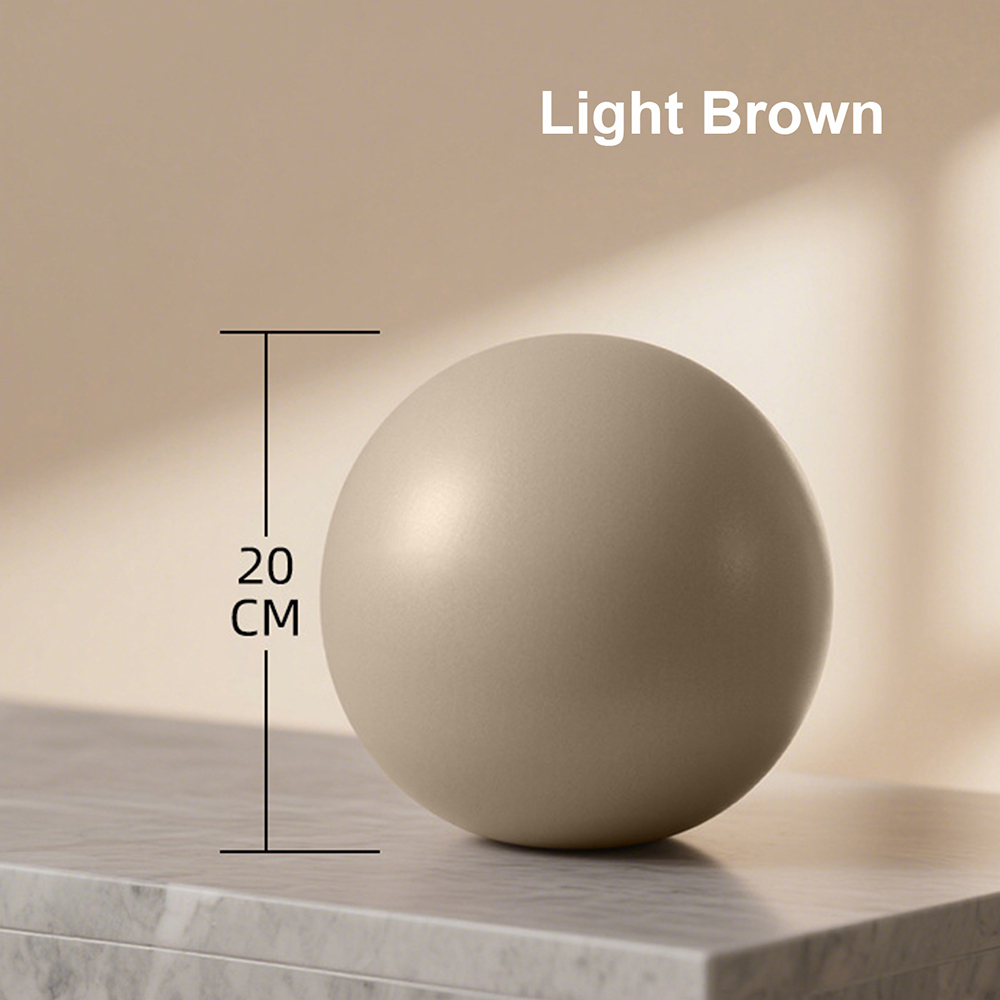 20cm Matte Exercise Ball Barre - Pilates Yoga Ball Exercises recension och pris